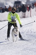 Lenk 2013